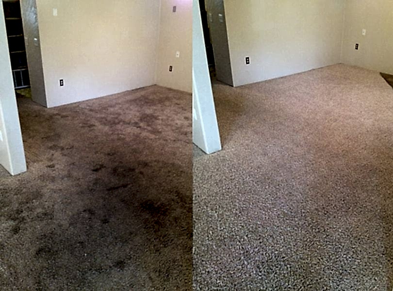 Химчистка ковролина в офисе Химчистка ковролина в офисе