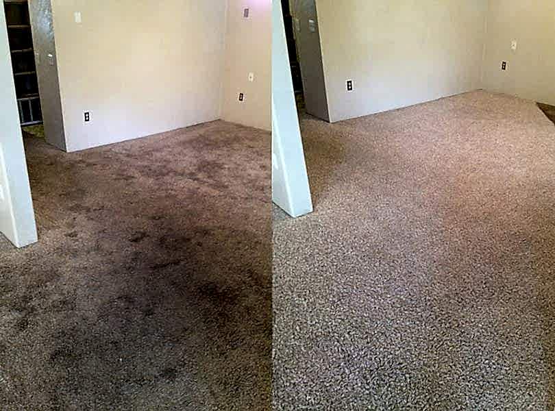 Химчистка ковролина в офисе