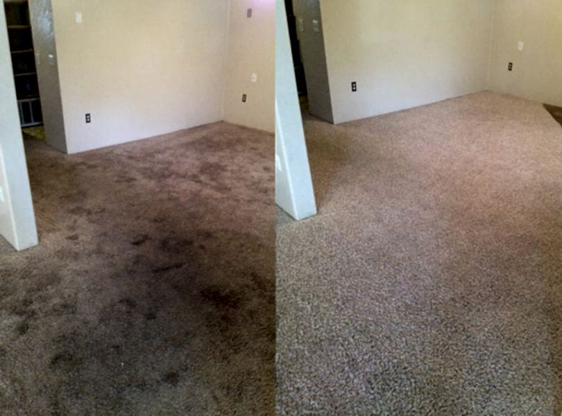 Химчистка ковролина в офисе