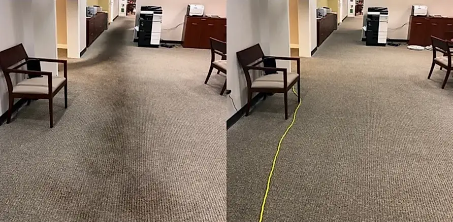 Чистка коврового покрытия в офисе