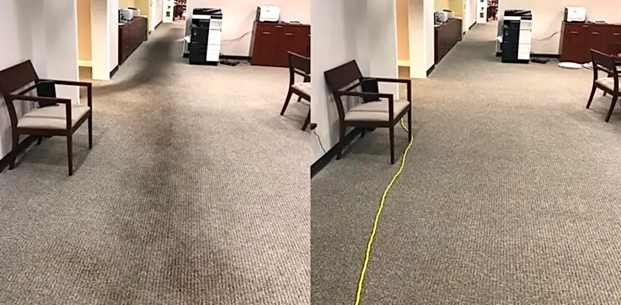 Чистка коврового покрытия в офисе