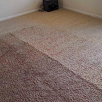 Чистка коврового покрытия в офисе