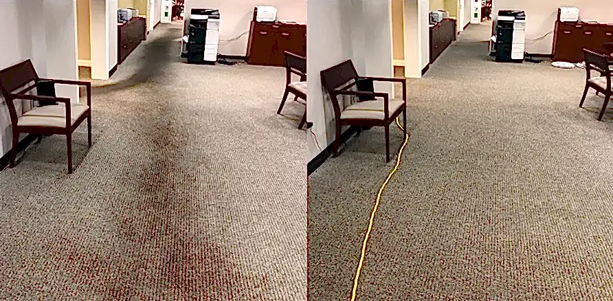 Чистка коврового покрытия в офисе