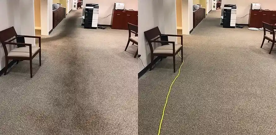 Чистка коврового покрытия в офисе