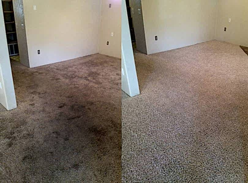 Химчистка ковролина в офисе