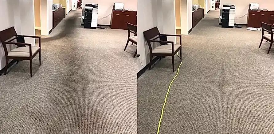Чистка коврового покрытия в офисе