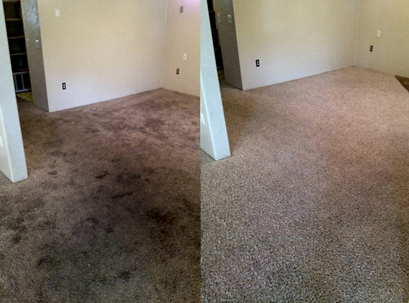 Химчистка ковролина в офисе