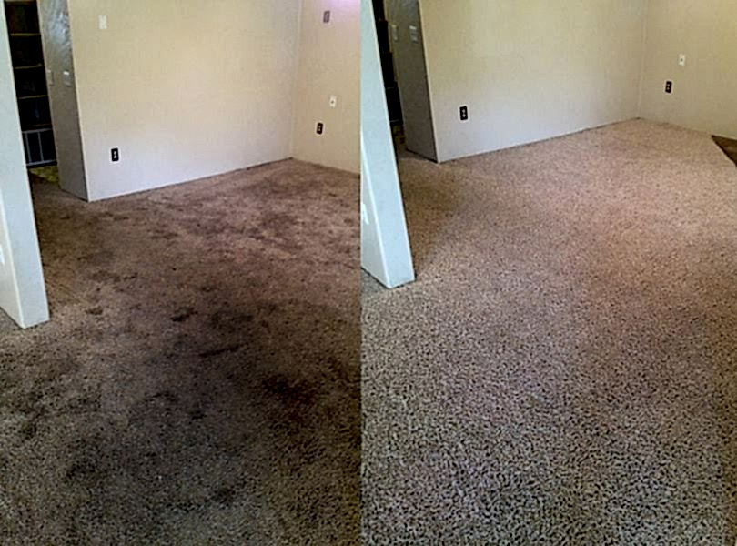 Химчистка ковролина в офисе