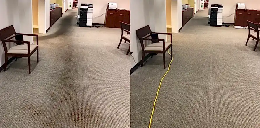 Чистка коврового покрытия в офисе