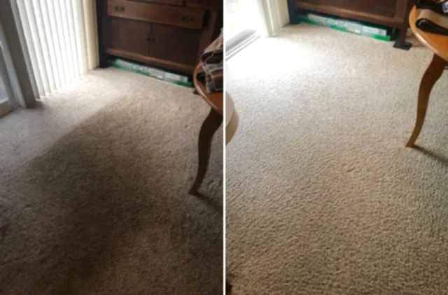 Химчистка ковра